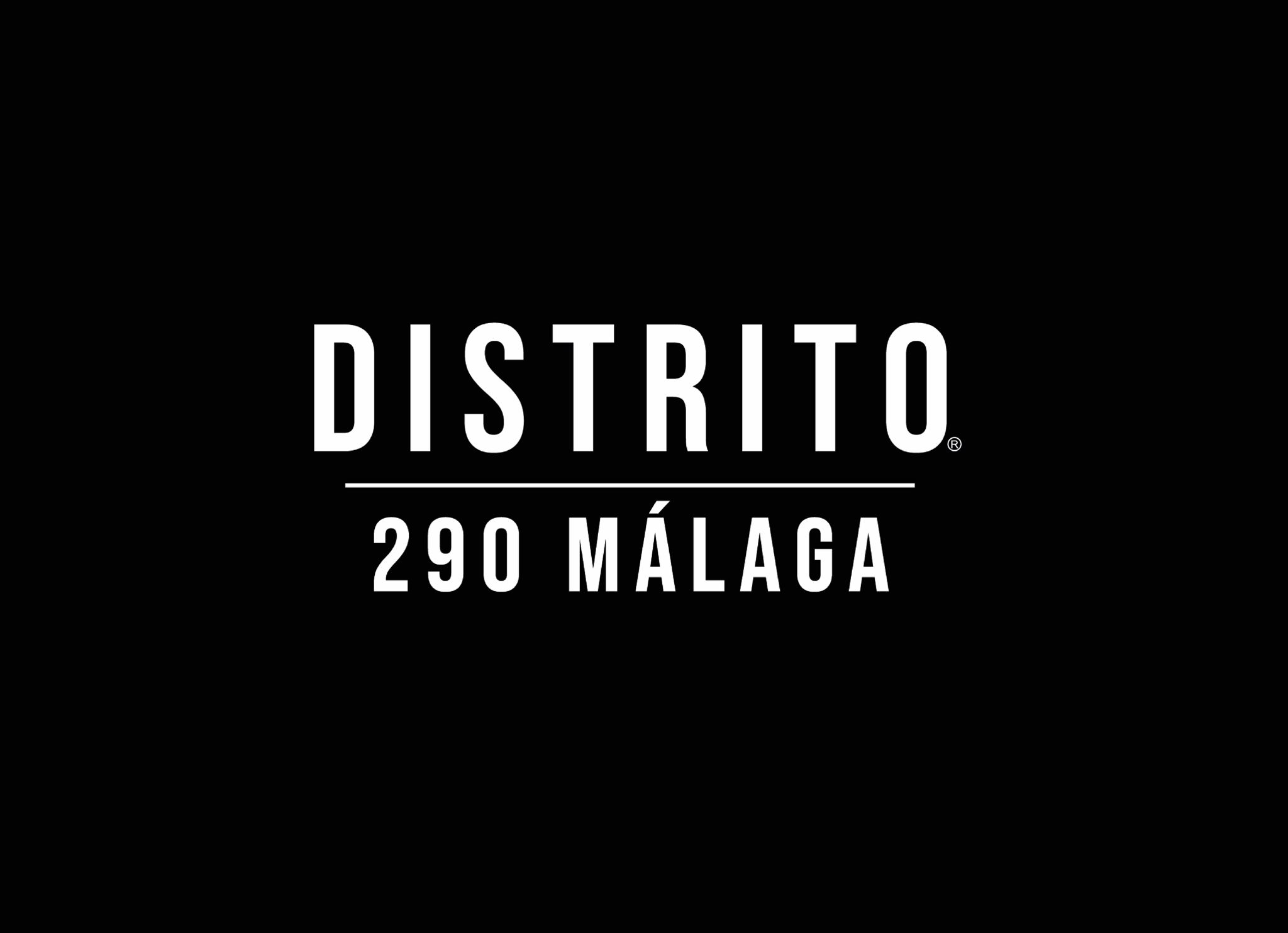 Distrito 290